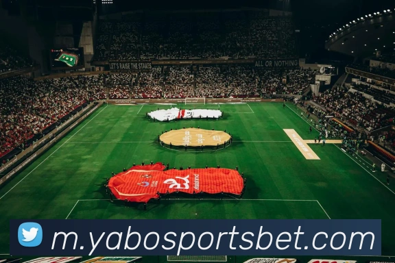 多媒体互动体验