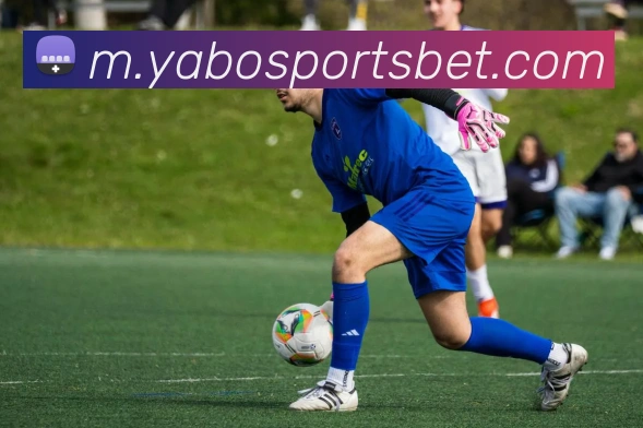 亚博体育APP 体育赛事宣传图